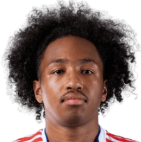 马利克·福法纳